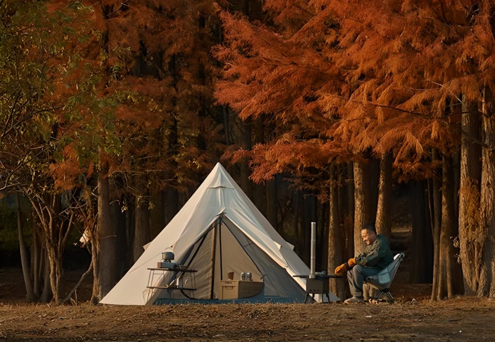 ultralight 2 person tent