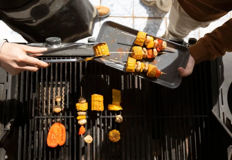 portable gas barbecue grill