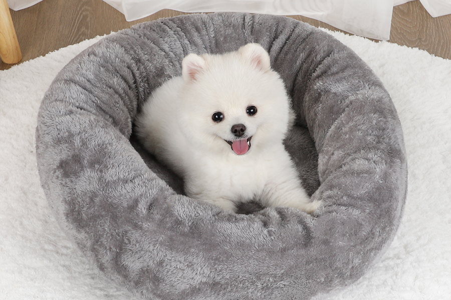 best pet dryer box
